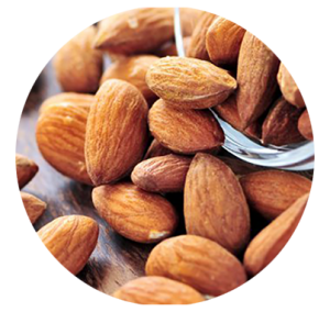 Almond PNG-50654